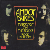 AMBOY DUKES, THE / Marriage On The Rocks - Rock Bottom