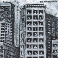 PINEAPPLE THIEF, THE / 12 Stories Down