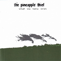 PINEAPPLE THIEF, THE / What We Have Sown